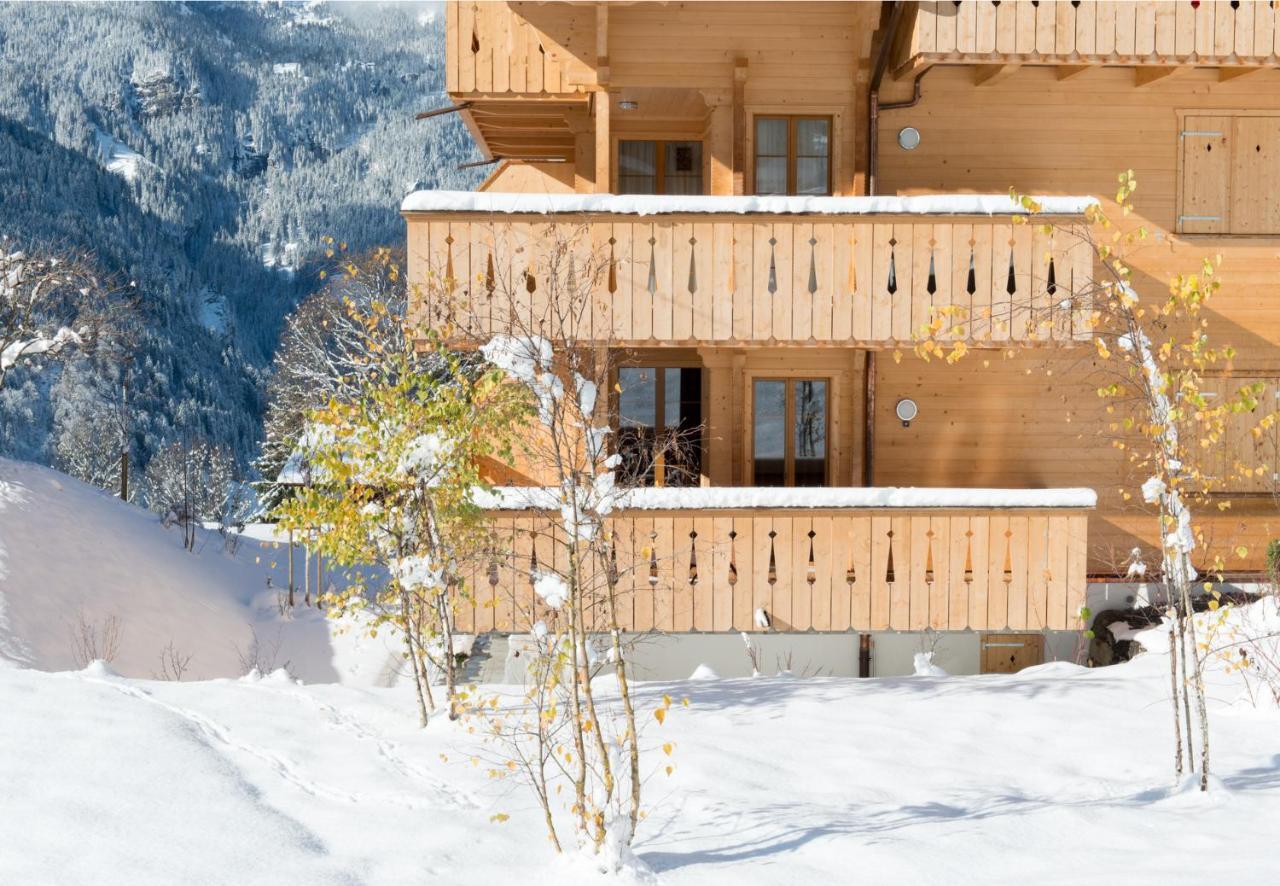 Panoramapark Soleil Chalet C Венген Экстерьер фото