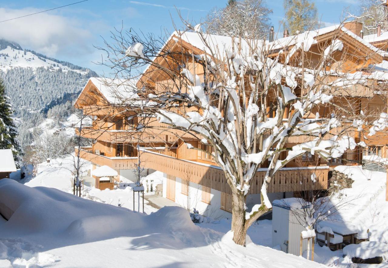 Panoramapark Soleil Chalet C Венген Экстерьер фото