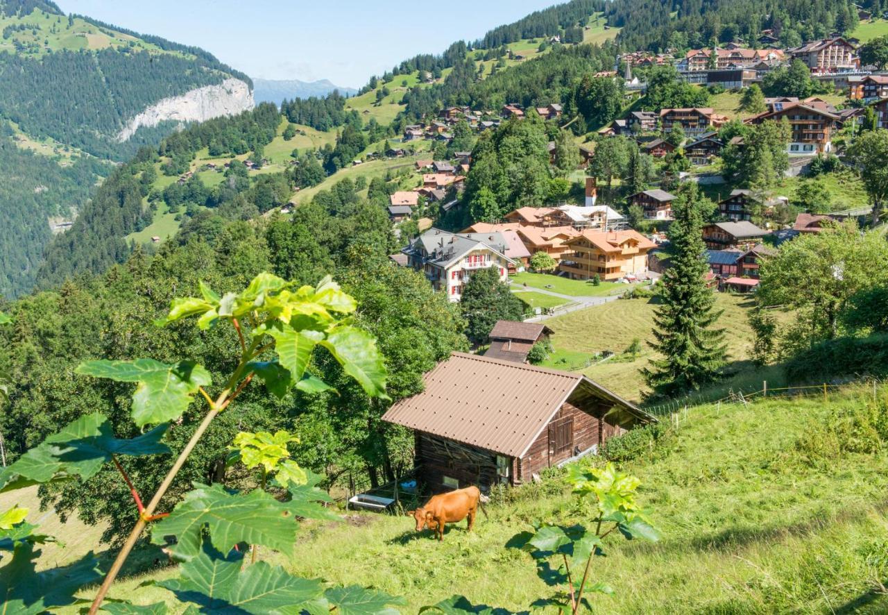 Panoramapark Soleil Chalet C Венген Экстерьер фото