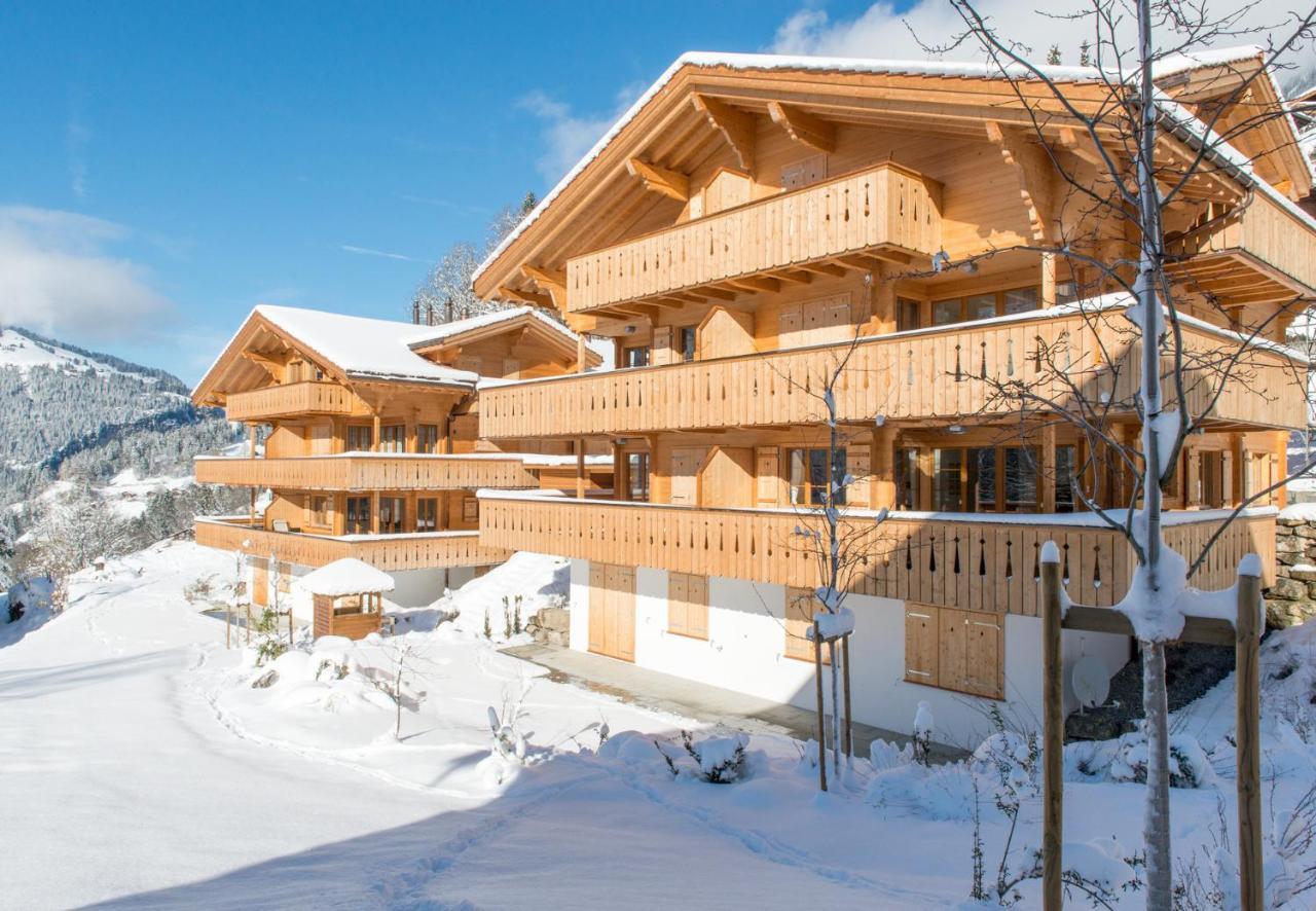 Panoramapark Soleil Chalet C Венген Экстерьер фото